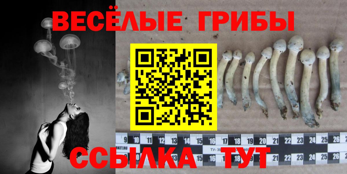 Меф мяу мяу Дмитров